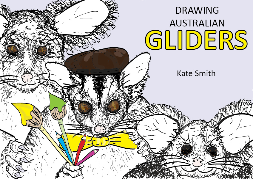cover of glider book